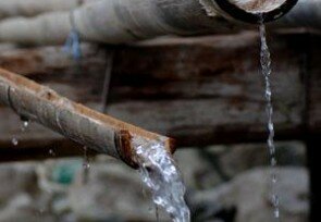 Hot_water_Bamboo.jpg