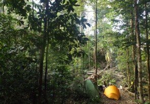 Manembonembo_jungle_camp.jpg