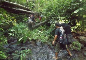 Manembonembo_jungle_trekking_3.jpg